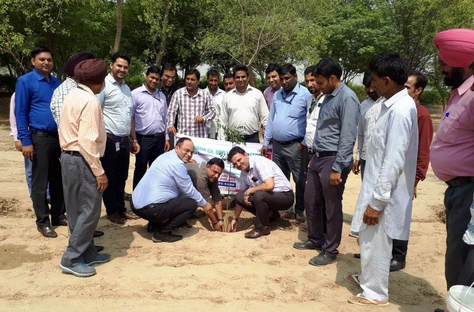 Tree Plantation on the occasion of World Environment Day – JCDV, Sirsa