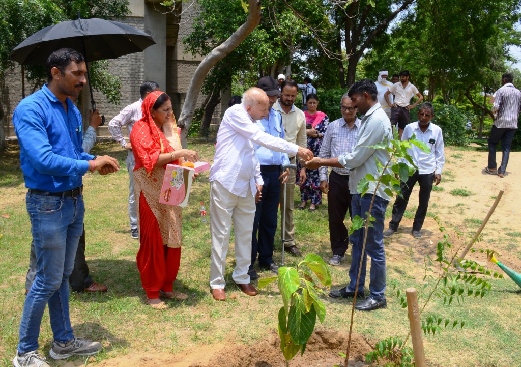 More than 100 trees were planted