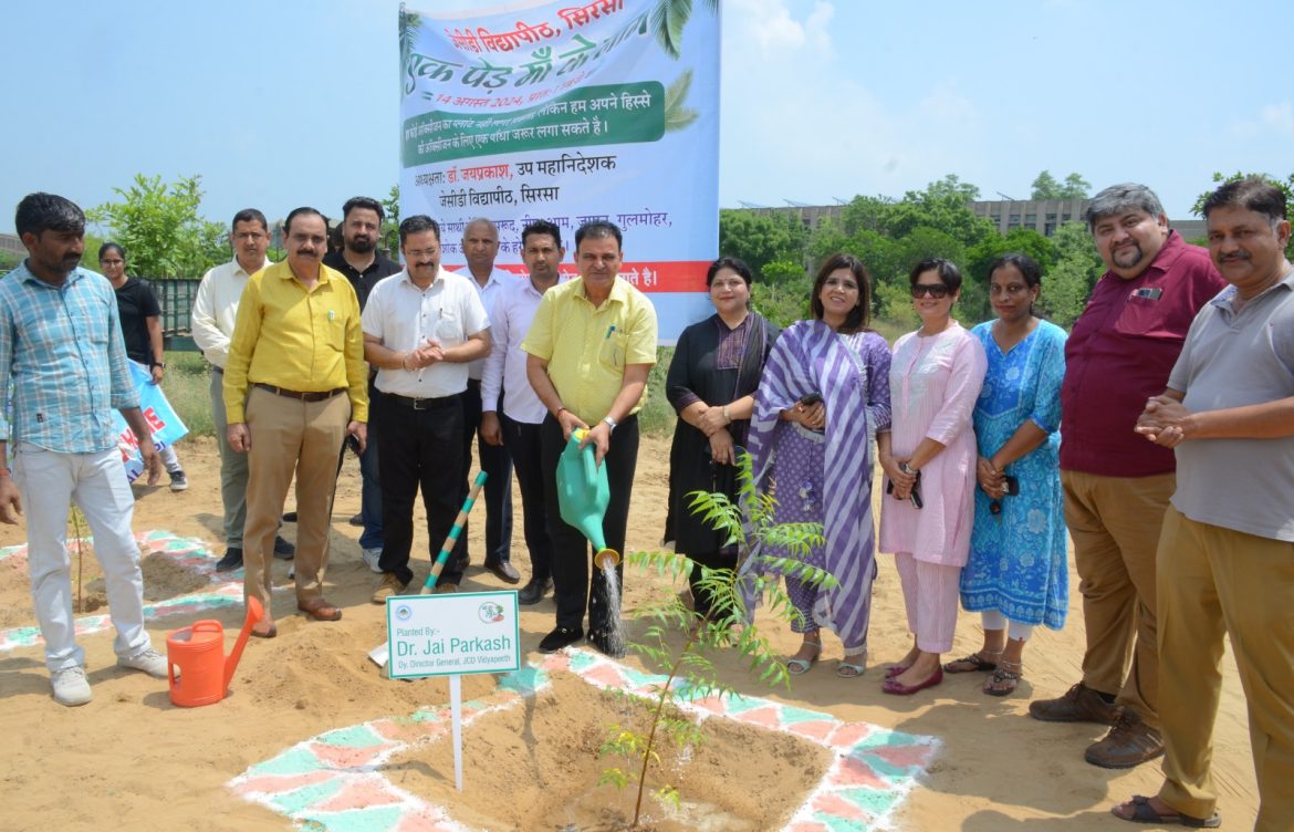 Tree Plantation