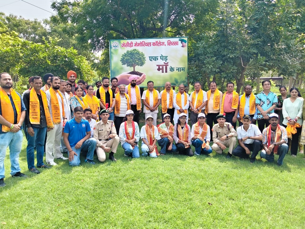 Tree Plantation